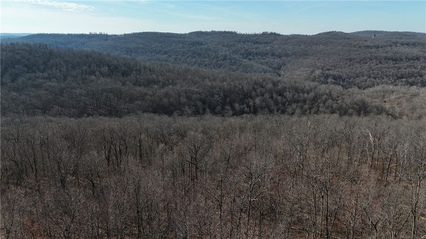 3/4 ‘s of a mile off Possum Trot Rd lies 16.5+/- acres of pristine wilderness. 10+/- acres and 5+/- acres connected by 1 ½ +/- deeded access along the county road frontage. Large oaks and hickory cover the gentle slope to a wet weather creek below. Multiple flat benches would allow build sites. Turkey, deer and bear are plentiful in the area.

Whether you are looking for a build site for a weekend getaway or multiple airbnb’s, this is the place for you. 36 miles south of Harrison, AR. 6 miles to Ponca, AR. Spend the day hiking to nearby Hawksbill Crag or the Lost Valley Trail, floating the Buffalo River or listening to the Elk bugle on a cool October morning. Drive 3 miles to Compton and rent a SXS for the day and explore the Ozark Mountains.


Quiet county road frontage
Abundant Wildlife
Mature Timber
Deer, Turkey and Bear Hunting
Buffalo National River WMA
Nearby Center Point Trailhead
Buffalo River Trailhead
6 miles to Ponca
3 Miles to Compton
36 miles to Harrison