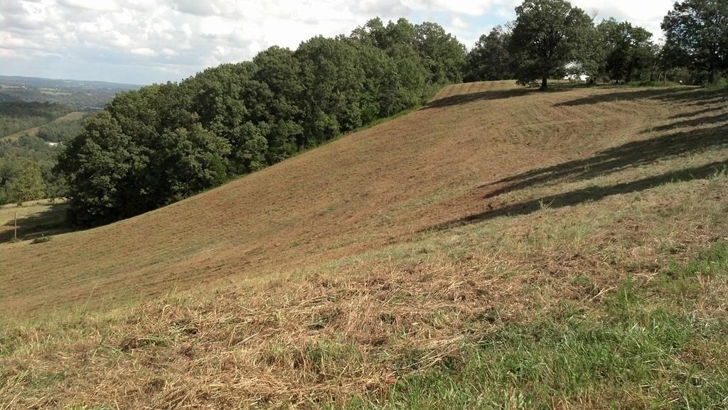 nice lot access to both county road 309 and 306, pond located on lot, electric service on lot. Owner financing available.