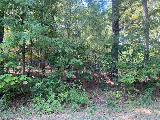 Wedington Woods Unit Ii - Land