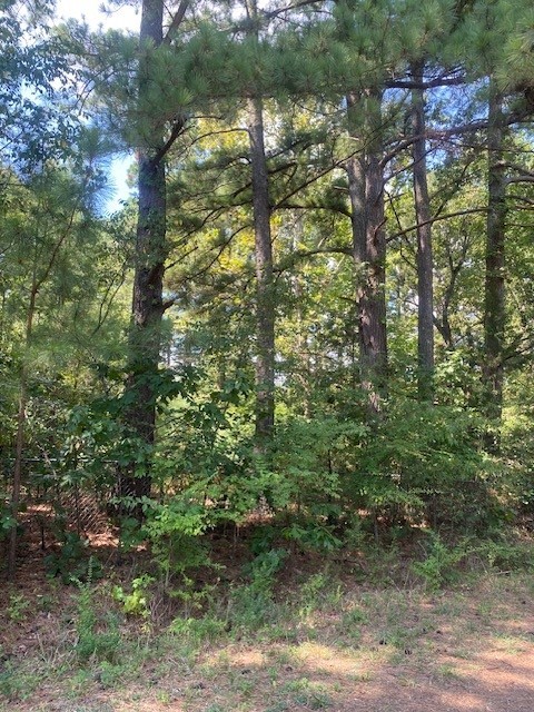 Wedington Woods Unit Ii - Land