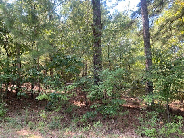 Wedington Woods Unit Ii - Land