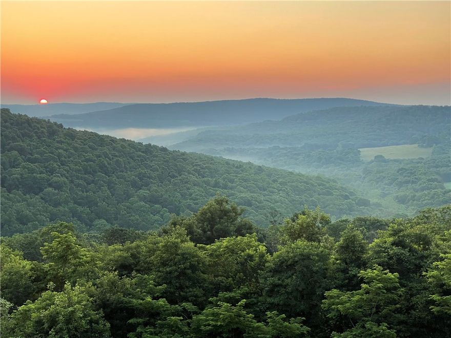 A truly one-of-a-kind legacy estate spanning nearly 100 acres of Ozark landscape, offering breathtaking panoramic views, abundant wildlife, and unmatched privacy. Named the "Black Bear Lodge", this property has endless possibilities such as a family compound, retreat, or hunting lodge. The estate includes separate residences- a custom-built main home, cottage house, and bunk house. The main home is thoughtfully designed to capture the surrounding views, with scenic vistas from the kitchen, a floor-to-ceiling native rock fireplace in the living area, formal dining room, and an upstairs loft game room. With 5 bedrooms and 4.5 bathrooms, the home offers ample space. The land itself features two pastures, a pond, a creek, and trails through the property. A barn with covered space provides additional storage and a place to enjoy the outdoors year-round. Known for its diverse wildlife, this sportsman’s dream presents a rare opportunity to own a private retreat where the beauty of the Ozarks and adventure come together.