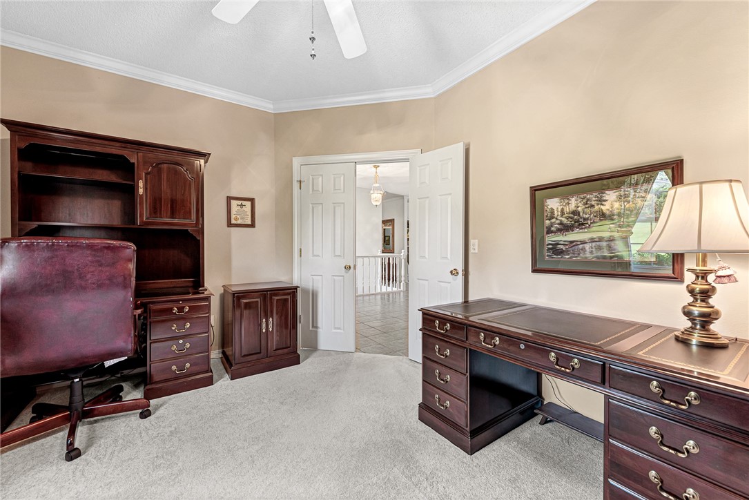 Dunedin Sub Bvv - Residential