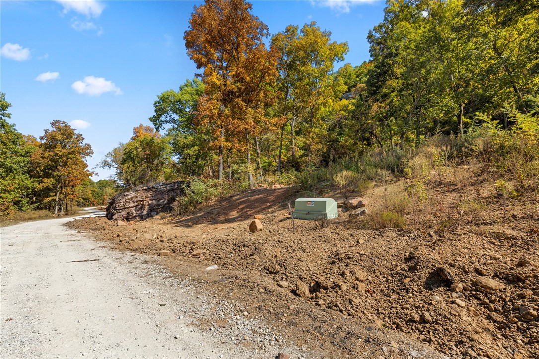 Does nothing but miles of views from your front door sound appealing? Lot 117 (1.20 m/l ac) of Round Mountain Estates offers its owner just that! This lot backs up to the Round Mountain bluff line and has unique boulders on sites! RME is a new, master planned, exclusive subdivision located 10 minutes west of Harrison, AR. The following utilities are already on site making the building process much easier for you; natural gas, fiber optic internet, electric, public water, and sewer. Interested in your family seeing the star lights instead of those city lights? RME is what you've been searching for! RME features a 350 +/- acre common area for its residents that includes a stocked fishing pond, Kissing Rock trail, natural springs to explore, Baby Canyon trail, incredible bluff lines to climb, and views for hundreds of miles that will not only take your breath away but will forever be etched in your memory! Neighborhood amenities coming soon.