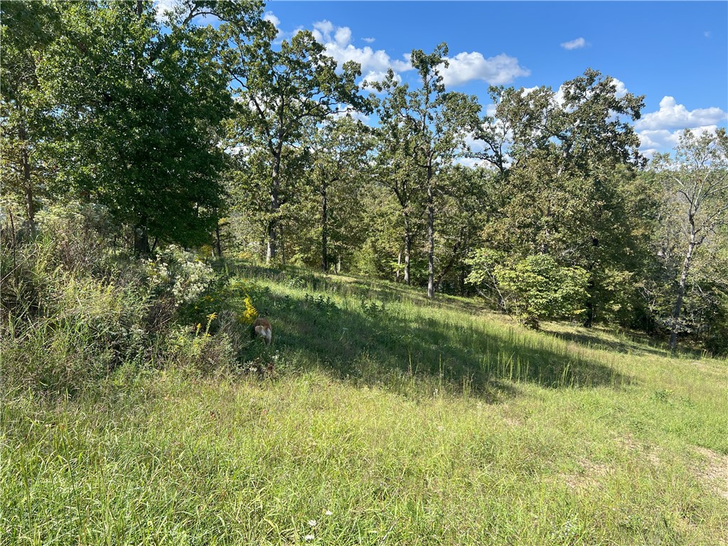 Lakeview Estates - Land