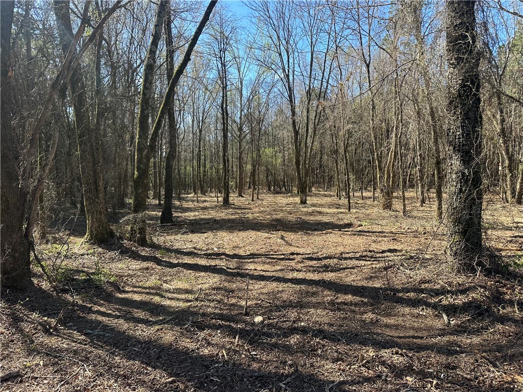 Cliff & Stream - Land