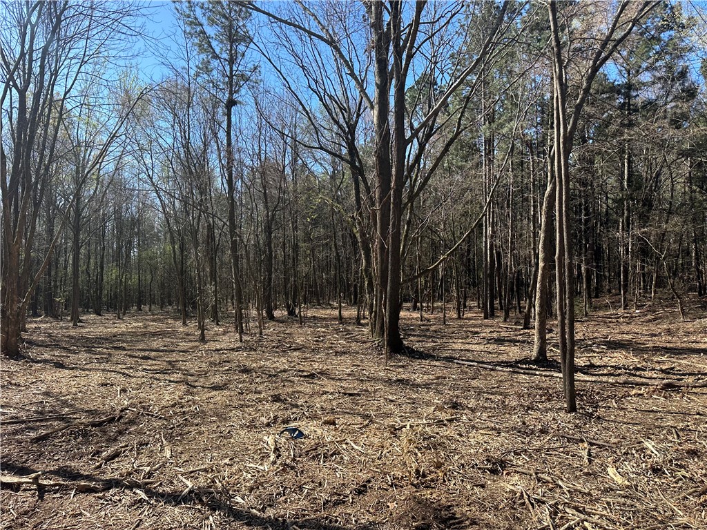 Cliff & Stream - Land