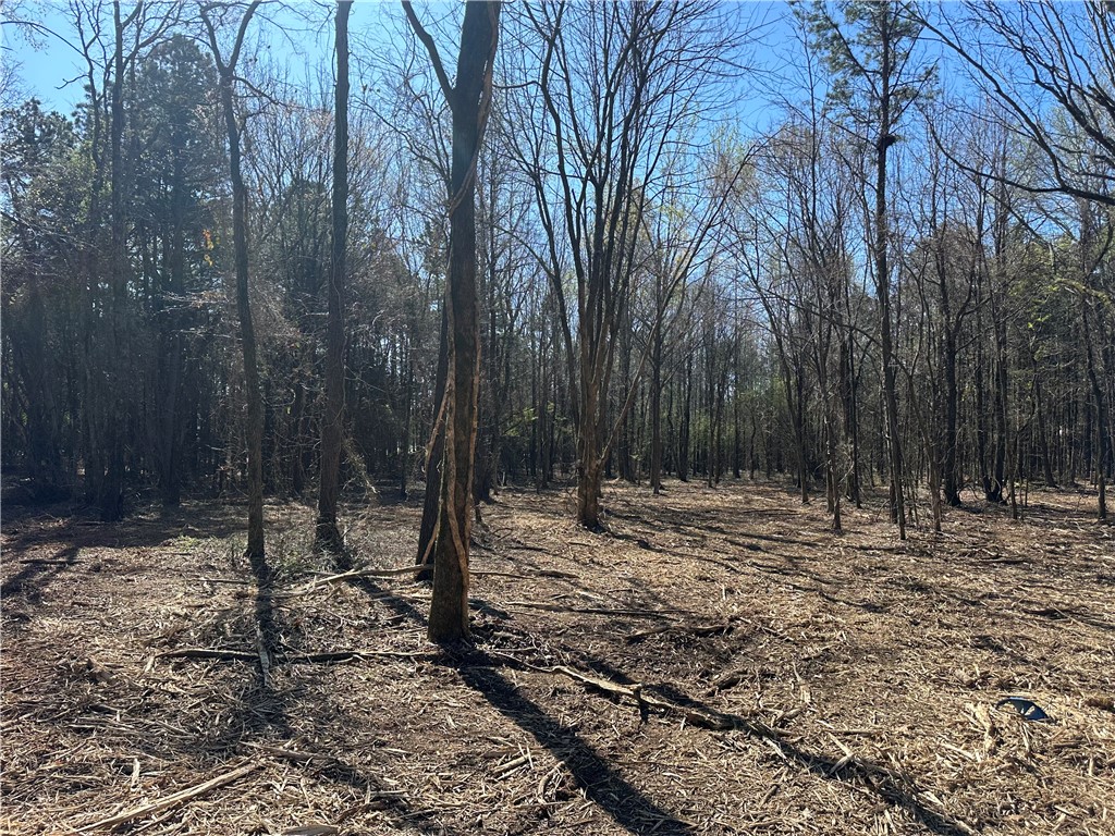 Cliff & Stream - Land