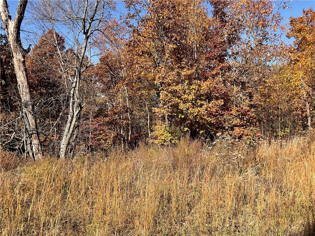 Kinloch Sub Bvv - Land