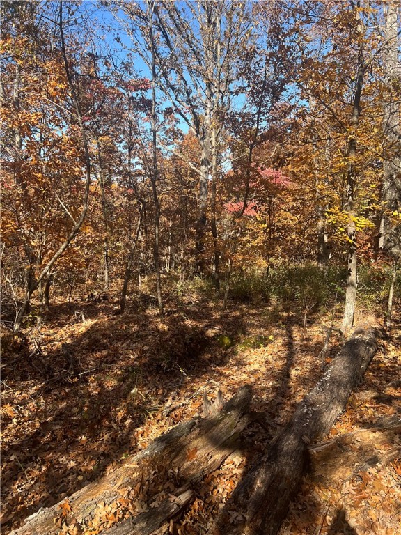 Kinloch Sub Bvv - Land