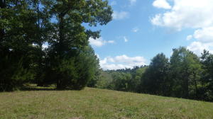 Park like setting. Good top of the mountain view. Good access. Quiet neighbors. Cemetery across the street. All utilities on the property. Lots of nice big shade trees and dogwoods for spring and fall color. Small stock pond. Lots of space for garden, orchard and pasture. Surveyed and all fenced An absolutely great building site. No bull, this is one of the best small parcels in the county.