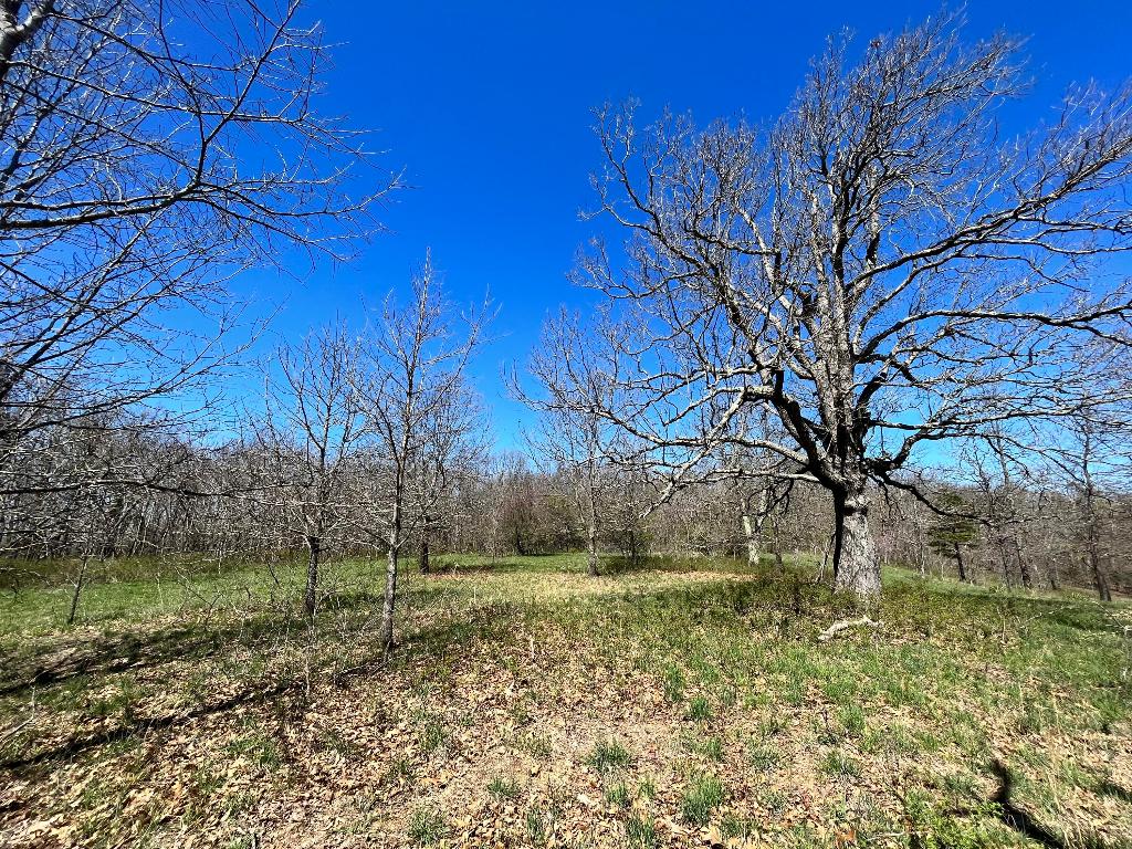 Checkout this one of a kind mountaintop property just 5 miles south of Jasper, Arkansas! This Property has a mix of pasture and timber with a great view looking to the north. With a little additional clearing this property would have outstanding views. Perfect building site for a vacation rental or your forever home. Close to the Buffalo National River and everything else Newton County has to offer!