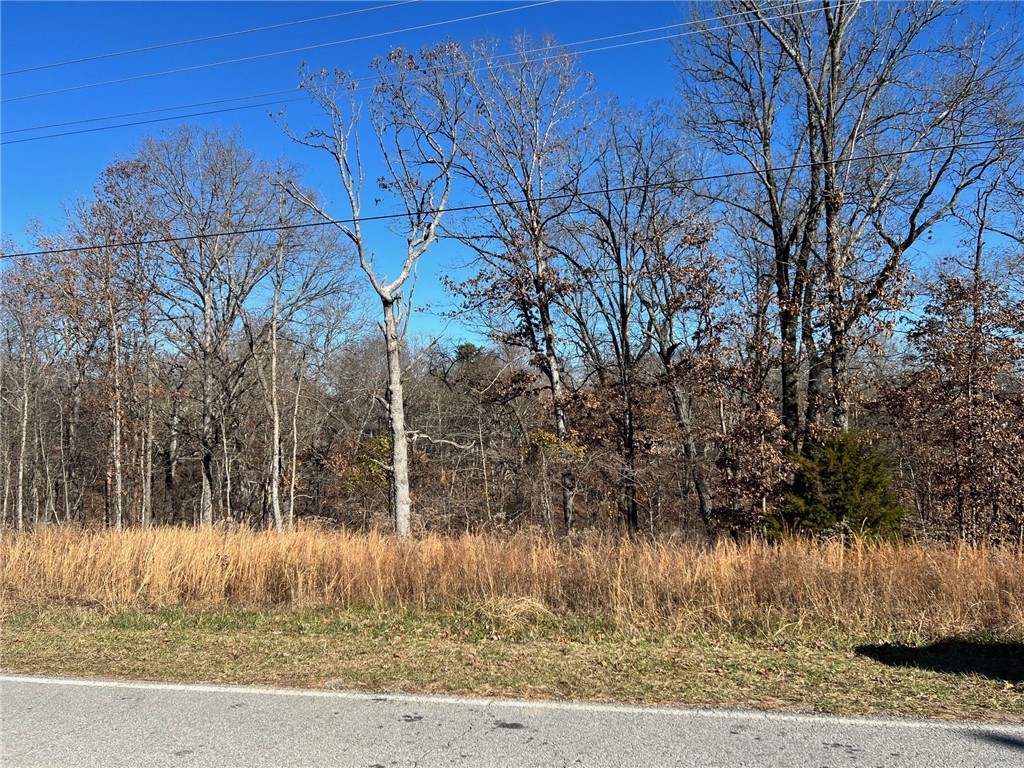This .31 acres is located on a paved road. Lot slopes in the front and then gets steep so a walk-out basement will be needed. Close to a ton of amenities Bella Vista has to offer like: Golf, Mountain biking and trails. Buyer to verify utilities.