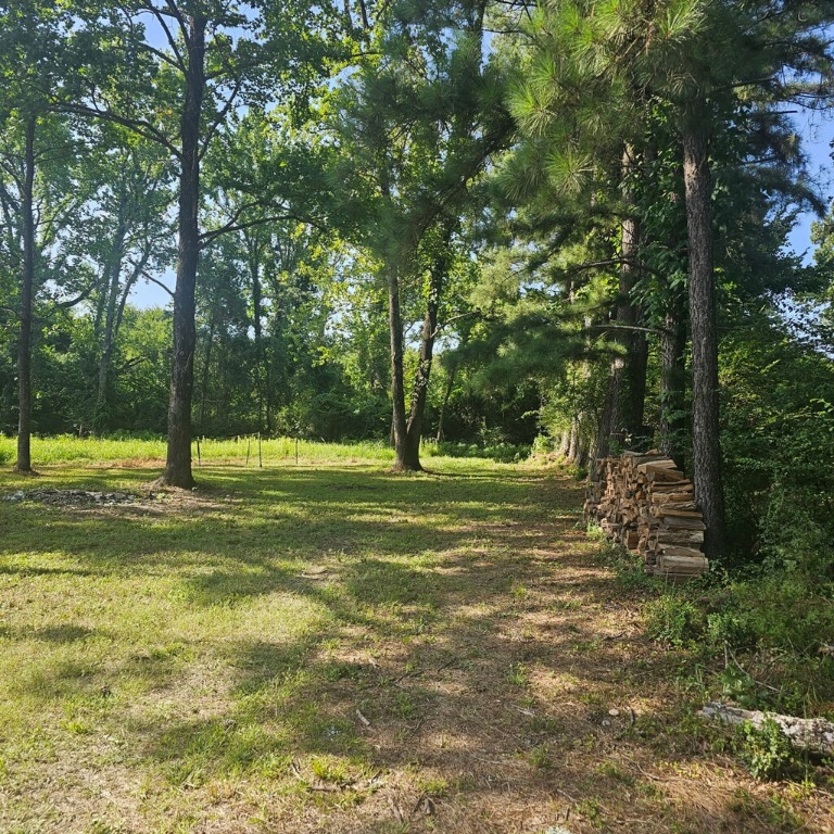 The possibilities are endless on this blank canvas, ready for someone to build their dream home and create a haven of peace and serenity. Its located in a great location in the heart of Alma, close to everything you would need, close to great restaurants (Catfish Hole), shopping, schools and entertainment. This won't last long give me a call today!