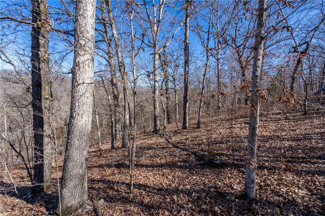 Quiet and secluded lot in Bella Vista. Easy to get to and close to Lake Brittany and biking trails. Lot has recently been Perc tested and could do a 2 or 3 bedroom home. See attachments. This is a quiet area of Bella Vista that's off the beaten path. Lot lines are approximate and for visual purposes only.