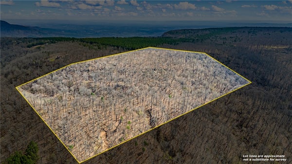 102 DARDANELLE HTS, DARDANELLE, AR 72834 - Image 7fcf0f94ce128d33a0b62879fb472c3a/2676563874