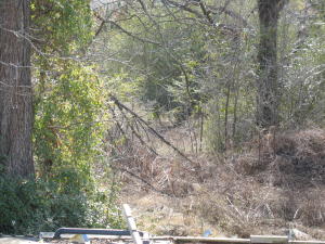 Looking for a piece of property with no restrictions? You have found it.Water and septic in place per seller.