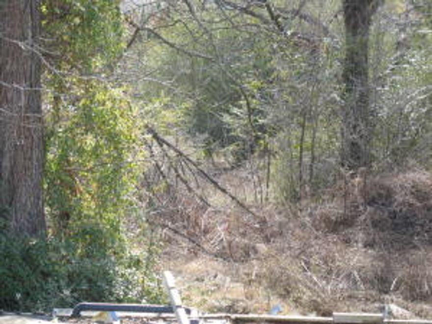 Looking for a piece of property with no restrictions? You have found it.Water and septic in place per seller.