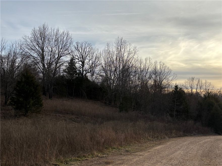 Great rural home site between Harrison and Bull Shoals Lake. Rural water and electric available. Mostly wooded, pretty area with rolling hills. Within minutes of many Ozark hiking, camping, fishing, hunting, swimming, boating, canoeing, and sightseeing venues! Check it out!
