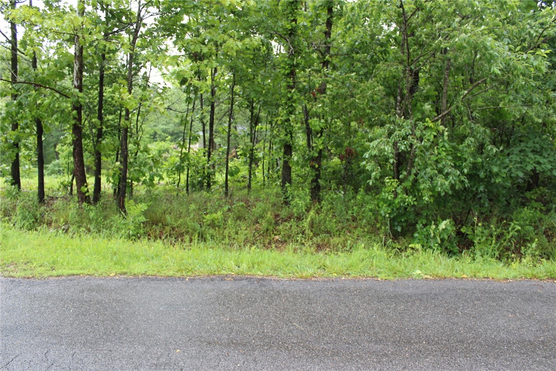 Lovely lot with level front gently rolling to rear. Near a cul de sac. Some other new homes in area and building. Quick route to Bentonville on the new I49 nearby too! (Or jump on new freeway to Joplin!)