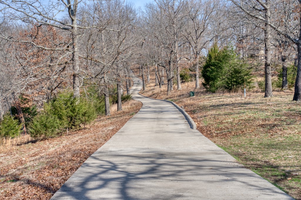 partly in Timber Lake Estates - Residential