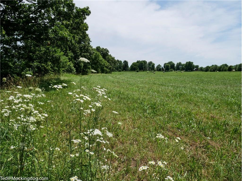 Beautiful, flat, level, open acreage on paved road, with new (May 2017) Fayetteville water line. In area of equestrian farms and estate homes. See also MLS # 1056475 and 1050831. New driveway as of September 2017