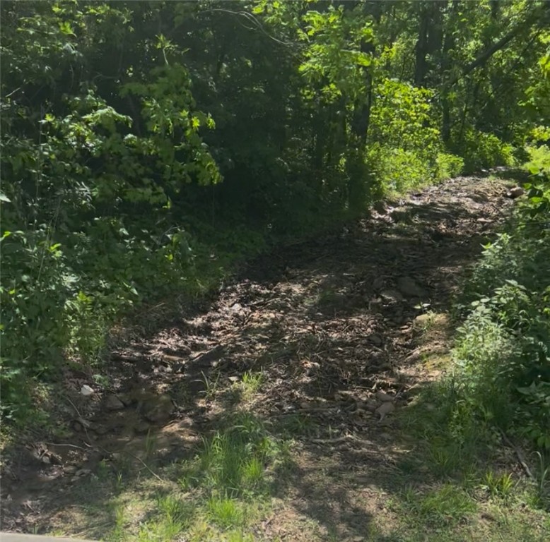$75,000 Down. Owner will finance the rest at 6% interest for Five years with a balloon
Escape to the woods with this incredible 40-acre parcel of heavily timbered land in the scenic Crosses area of Northwest Arkansas. Whether you're looking for a private retreat, a weekend getaway, or prime deer hunting property, this tract offers it all.
Property Highlights:
40 acres of mature, untouched timber
Nine well-placed deer stands throughout the property
Multiple established trails for easy access across the land
Abundant wildlife and ideal habitat for deer and other game
Peaceful, secluded setting – perfect for off-grid living, camping, or a hunting cabin
Backing up to 250 +/- of National Forrest. A Hunters Dream.
Located just off the beaten path, this property provides the privacy and serenity you've been looking for while still being within reasonable distance to Fayetteville or Huntsville.
Don't miss this opportunity to own your own slice of Arkansas wilderness.