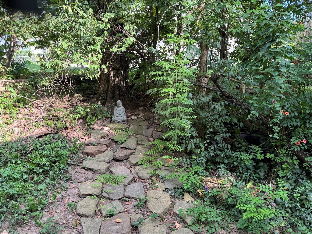 Wilsons - Residential