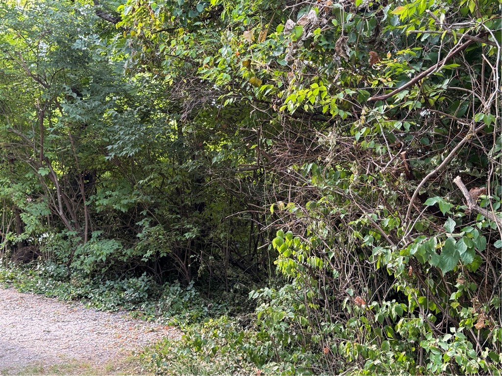 Wilsons - Residential