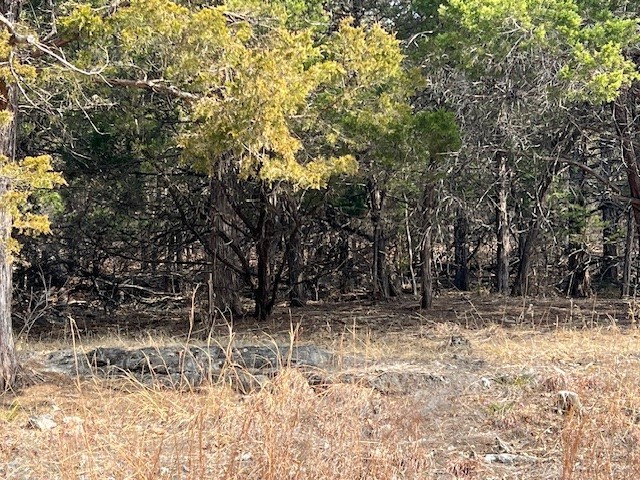 Unit 3 Holiday Island - Land