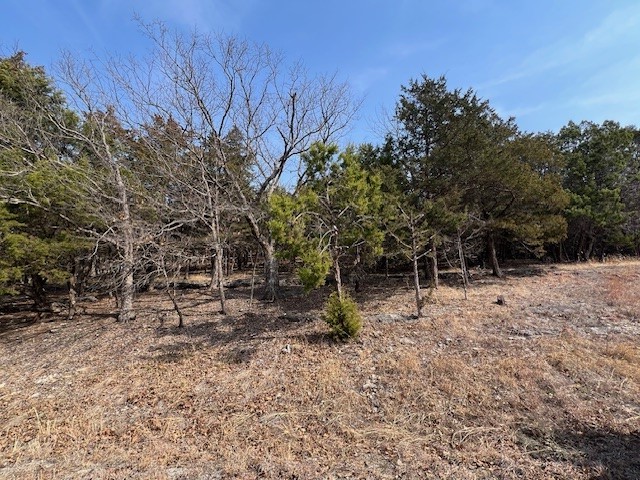 Unit 3 Holiday Island - Land