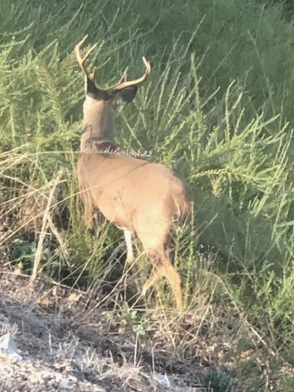 Slate Gap Estates Rurban - Residential
