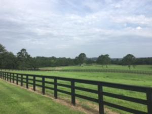 Other Subdivision - Residential