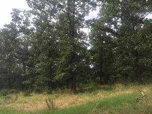 Other Subdivision - Residential