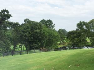 Other Subdivision - Residential