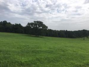 Other Subdivision - Residential