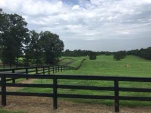 Other Subdivision - Residential