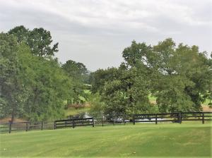 Other Subdivision - Residential