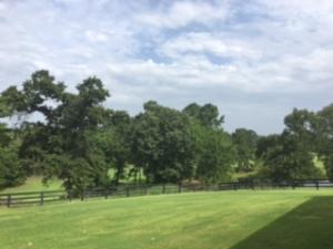 Other Subdivision - Residential