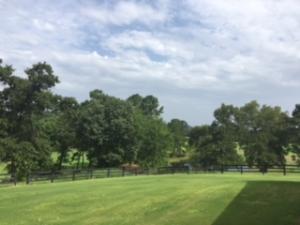 Other Subdivision - Residential