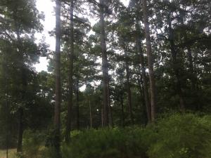 Other Subdivision - Residential