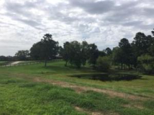 Other Subdivision - Residential