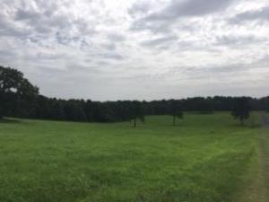 Other Subdivision - Residential