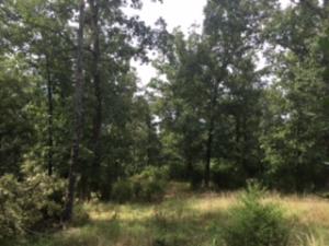 Other Subdivision - Residential