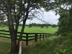 Other Subdivision - Residential