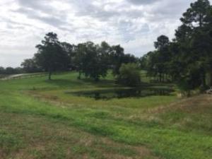 Other Subdivision - Residential