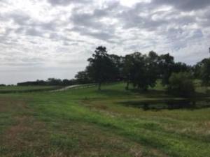 Other Subdivision - Residential