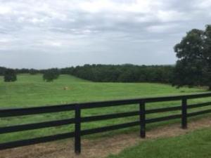 Other Subdivision - Residential