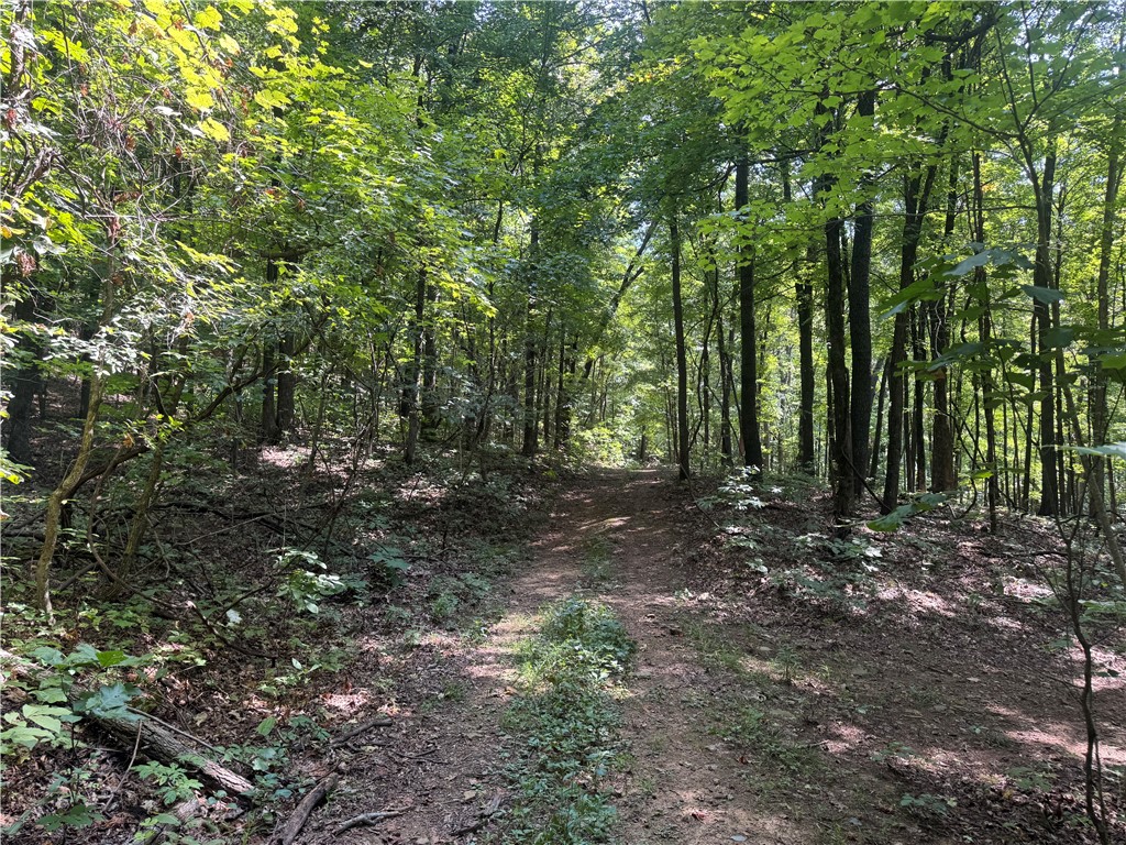 Own 40 acres of prime Madison County, Arkansas hunting land for sale, just minutes from the White Rock Wildlife Management Area. This Northwest Arkansas hunting property offers the perfect mix of mature timber, secluded mountain land, and trails for easy access throughout. Hunting blinds and feeders are already in place, making it a turnkey property for whitetail deer, bear, turkey, and wild hogs. With easement access and no utilities on site, this tract is ideal for those seeking privacy, recreation, or an off-grid lifestyle. Multiple potential building sites make it perfect for a hunting cabin, weekend retreat, or self-sufficient homestead in the Ozarks. Just 22 miles from Fayetteville and 50 miles from Bentonvilleās world-class mountain biking trails, this property sits near all that NWA real estate offers ā abundant outdoor recreation, scenic beauty, and a thriving culture.