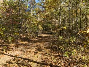 Looking for that perfect mixture of woods and pasture close to a paved road? Great building sites with mature hardwood timber, views of the valley below. comes with a 2BR 1 BA mobile home, rural water and electric on site. Only a short drive to the Buffalo River or Gene Rush Wildlife Management area.